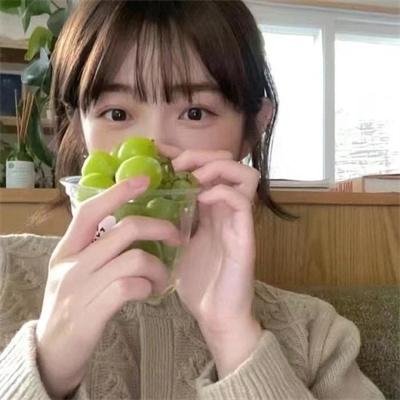 阿尔法爸爸